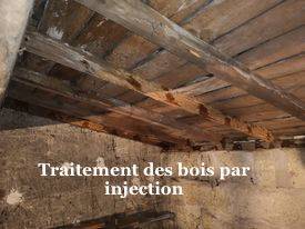 Termites