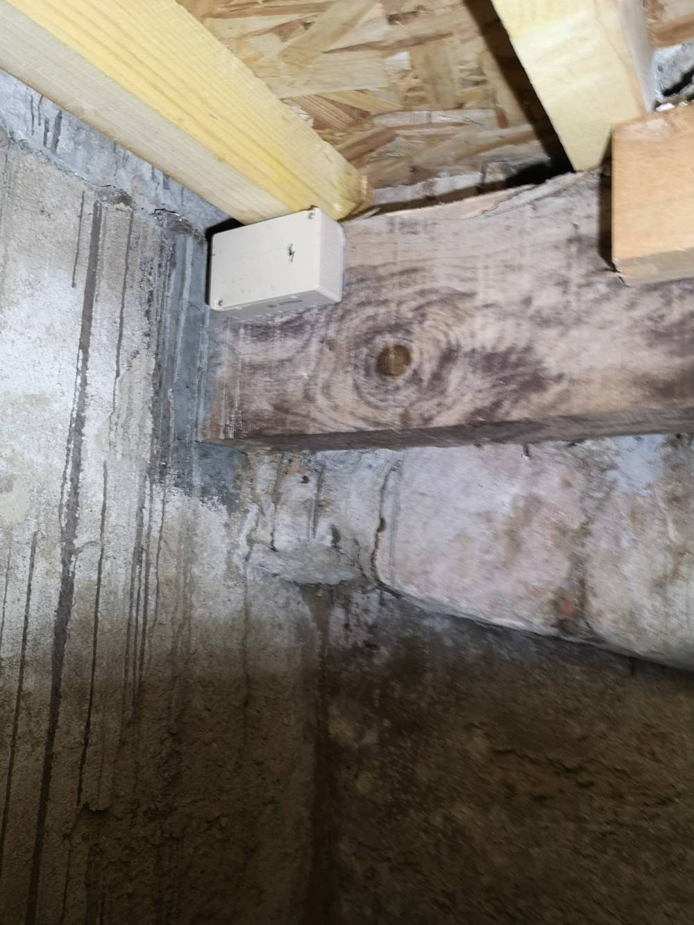 Piège à termites
