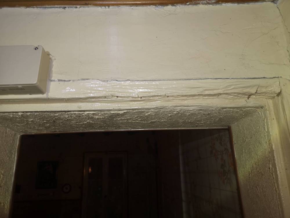 Termites